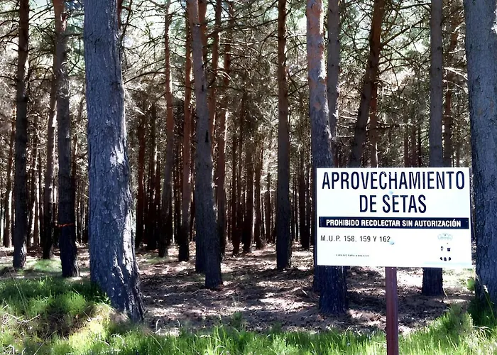 Charming House In With View בית נופש